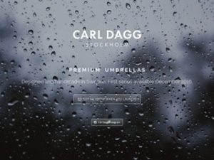 Carl Dagg