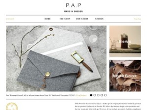 P.A.P Accessories